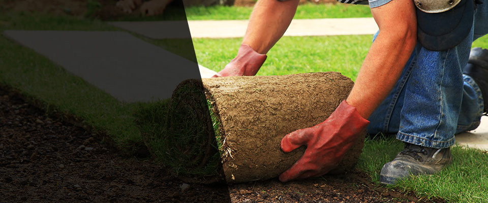 New Carlisle Landscapers